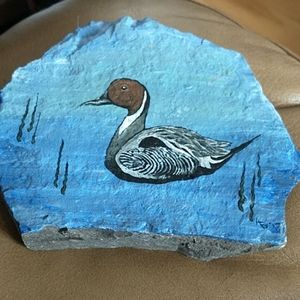 🇨🇦Hand painted garden rock